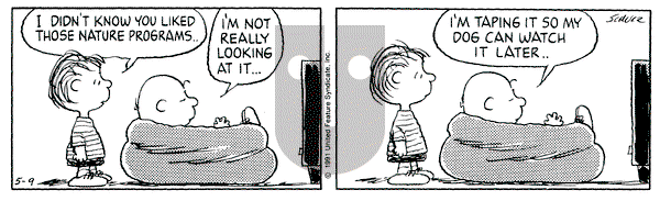 Peanuts on Thursday May 9, 1991 Comic Strip