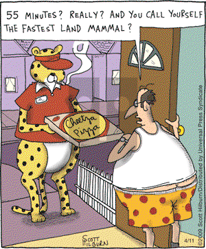 The Argyle Sweater on Saturday April 11, 2009 Comic Strip