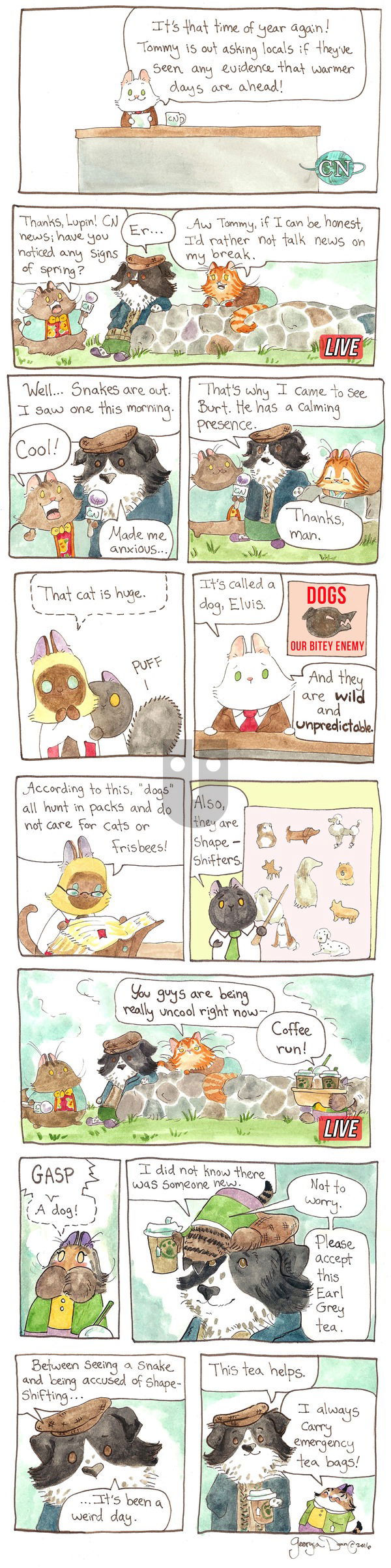 Breaking Cat News on Sunday May 15, 2016 Comic Strip