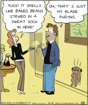 Brevity on Monday November 14, 2016 Comic Strip