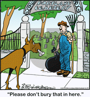 Marmaduke on Monday June 24, 2019 Comic Strip