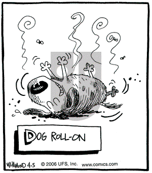 Reality Check on Wednesday April 5, 2006 Comic Strip