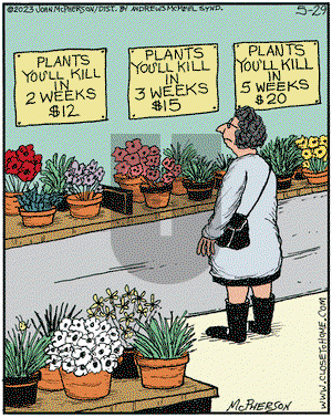 Close to Home on Monday May 29, 2023 Comic Strip