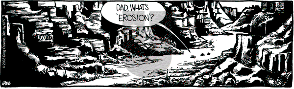 The Buckets on Friday August 1, 2008 Comic Strip