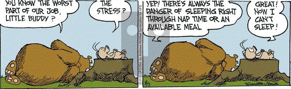 The Grizzwells on Tuesday August 7, 2018 Comic Strip