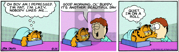 Garfield on Wednesday August 25, 1982 Comic Strip