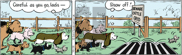 Fred Basset - Tuesday October 28, 2014 Comic Strip