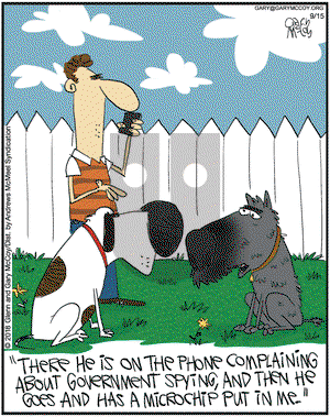 The Flying McCoys on Saturday September 15, 2018 Comic Strip