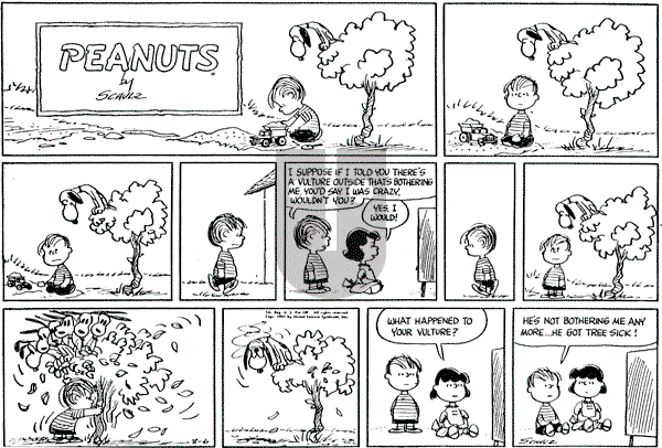 Peanuts - Sunday August 6, 1961 Comic Strip
