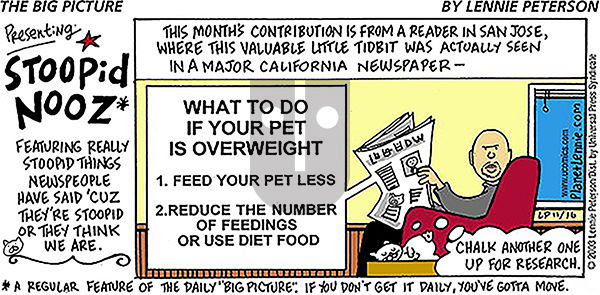 The Big Picture on Sunday March 30, 2025 Comic Strip