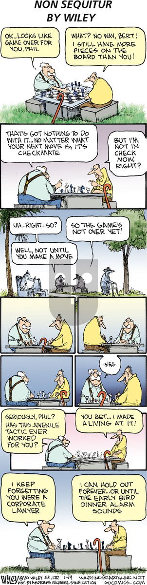 Non Sequitur on Sunday January 19, 2020 Comic Strip