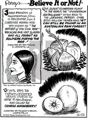 Ripley's Believe It or Not on Friday December 22, 2000 Comic Strip