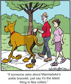 Marmaduke on Tuesday August 2, 2011 Comic Strip