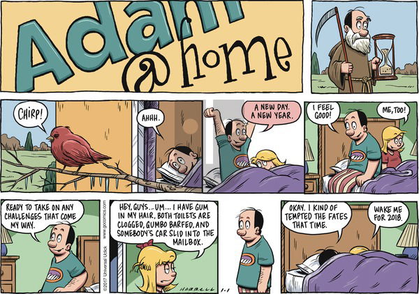 Adam@Home on Sunday January 1, 2017 Comic Strip