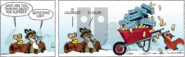 Over the Hedge on Monday November 30, 2020 Comic Strip