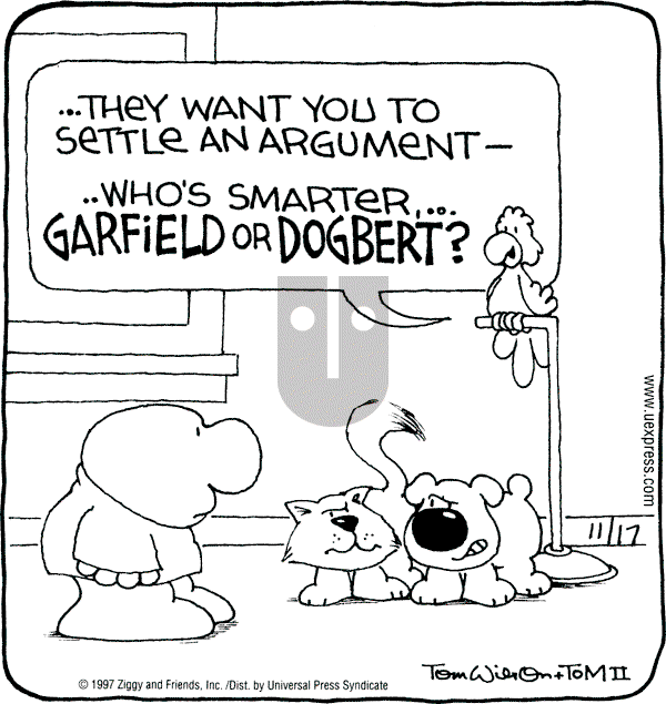 Ziggy - Monday November 17, 1997 Comic Strip