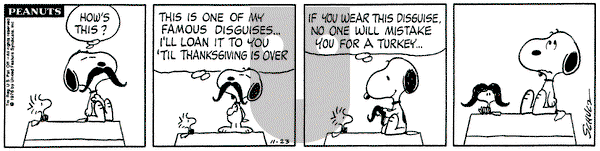 Peanuts - Tuesday November 23, 1976 Comic Strip