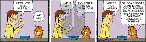 Garfield on Tuesday July 2, 2013 Comic Strip