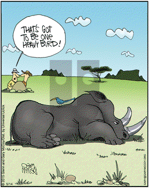 The Flying McCoys on Thursday May 14, 2015 Comic Strip