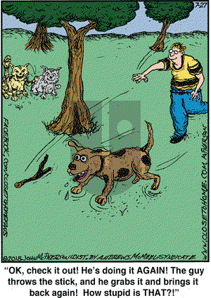Close to Home on Friday July 27, 2018 Comic Strip