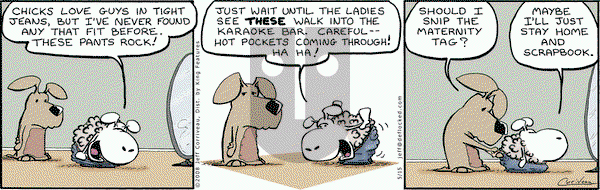 DeFlocked on Thursday May 15, 2008 Comic Strip