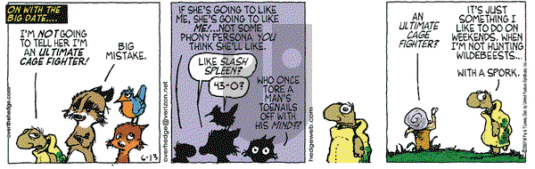 Over the Hedge on Wednesday June 13, 2007 Comic Strip
