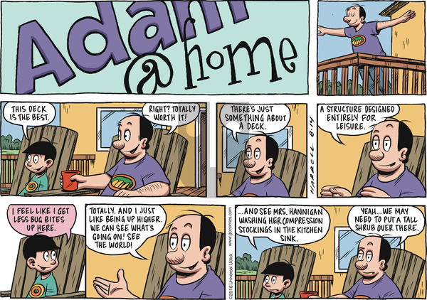 Adam@Home on Sunday August 14, 2016 Comic Strip