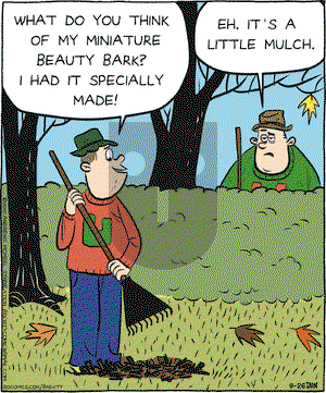 Brevity on Saturday September 26, 2020 Comic Strip