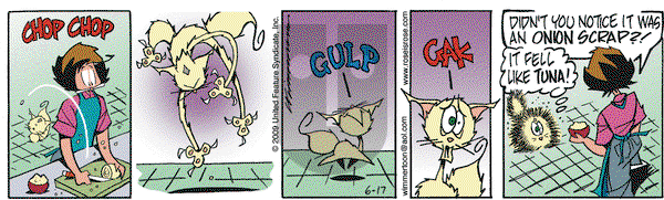 Rose is Rose on Wednesday June 17, 2009 Comic Strip