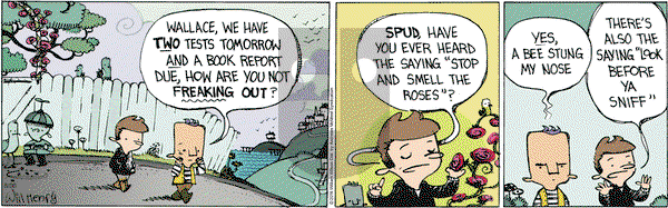 Wallace the Brave on Wednesday May 30, 2018 Comic Strip