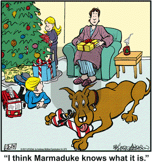 Marmaduke on Sunday December 26, 2021 Comic Strip