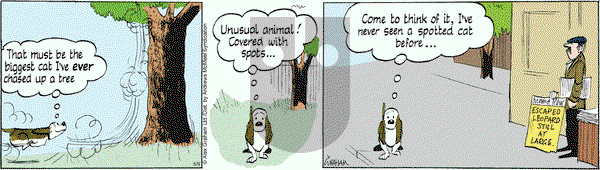 Fred Basset on Friday May 9, 2025 Comic Strip