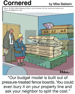 Cornered on Thursday December 4, 2014 Comic Strip