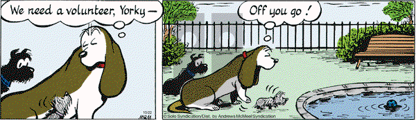 Fred Basset on Tuesday October 22, 2019 Comic Strip