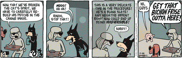 Pooch Cafe on Friday July 29, 2011 Comic Strip