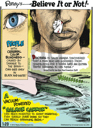 Ripley's Believe It or Not on Tuesday January 20, 2015 Comic Strip