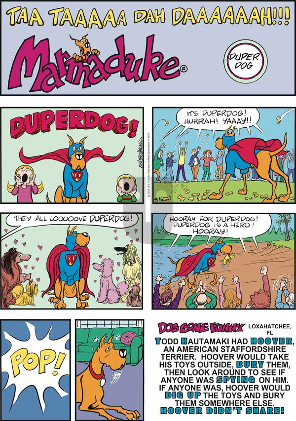 Marmaduke on Sunday March 16, 2025 Comic Strip