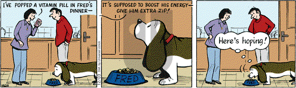 Fred Basset on Monday December 3, 2012 Comic Strip
