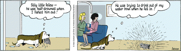 Fred Basset - Wednesday November 13, 2024 Comic Strip