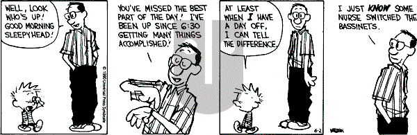 Calvin and Hobbes - Saturday June 2, 1990 Comic Strip