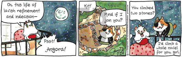 Breaking Cat News on Thursday January 24, 2019 Comic Strip
