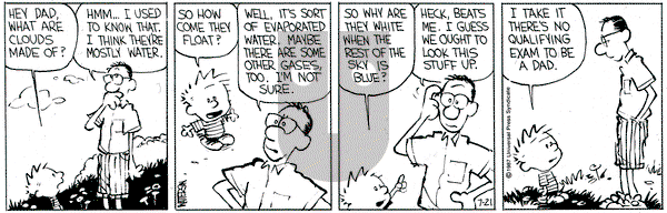 Calvin and Hobbes on Tuesday July 21, 1987 Comic Strip