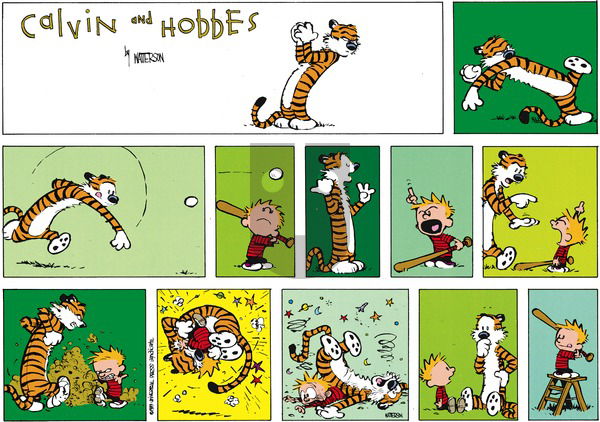Calvin and Hobbes - Sunday August 6, 1989 Comic Strip