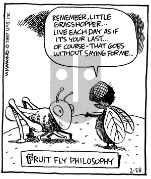 Reality Check on Friday February 28, 1997 Comic Strip