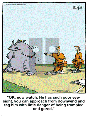 In the Bleachers on Friday August 24, 2007 Comic Strip