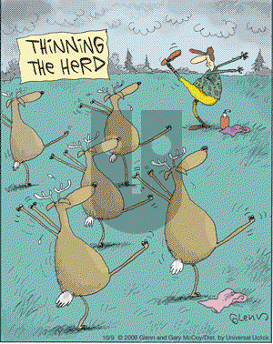 The Flying McCoys on Friday October 9, 2009 Comic Strip