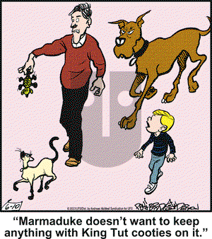 Marmaduke - Saturday June 10, 2023 Comic Strip