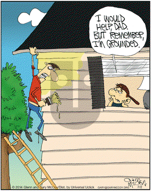 The Flying McCoys on Wednesday July 2, 2014 Comic Strip