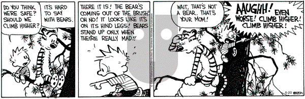 Calvin and Hobbes - Thursday June 20, 2024 Comic Strip