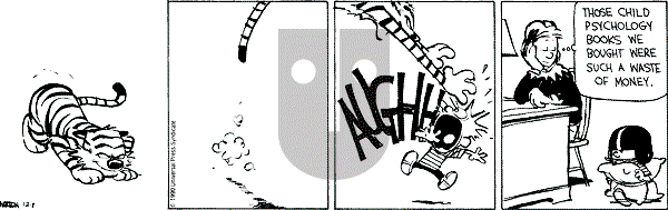 Calvin and Hobbes - Saturday December 8, 1990 Comic Strip